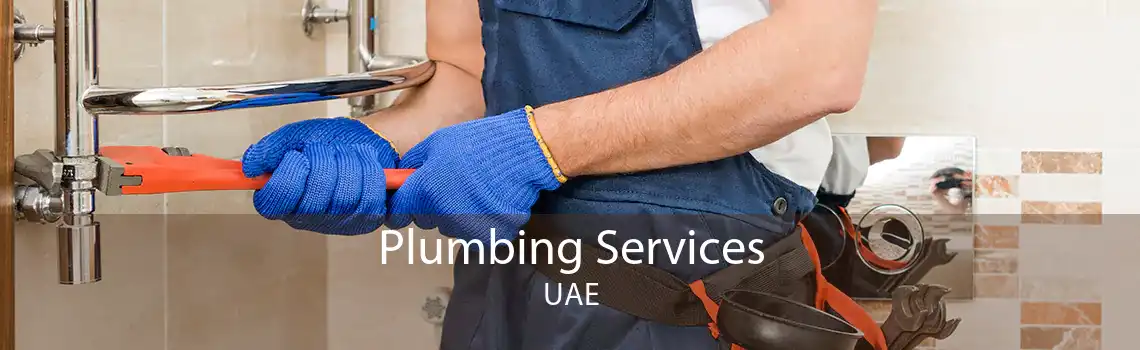 Dubai plumber installing water